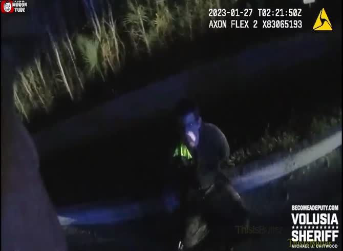 Video :A spooky peek After being caught in the act, Tom hides in a swamp in an attempt to elude the police